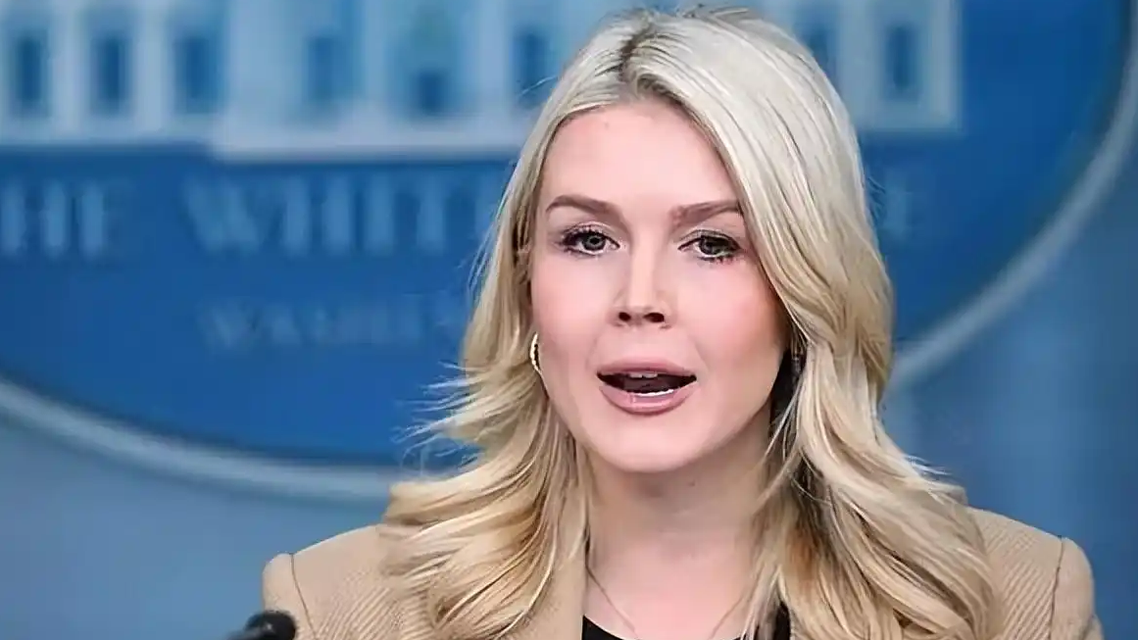 法国派兵约15人德国13人英荷各1人