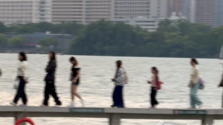  又到了武汉东湖像“海边”的季节